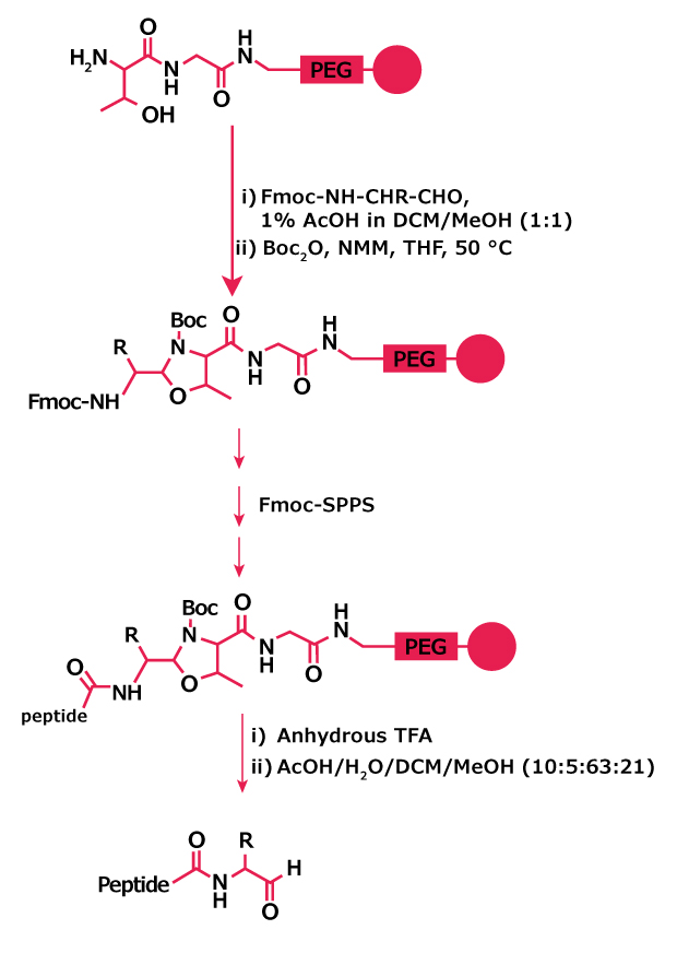 Scheme showing conversion of H‑Thr‑Gly‑NovaSyn® TG resin to the corresponding peptide aldehyde through selective oxidation and resin cleavage conditions.